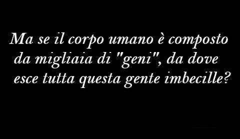 Immagine Divertente - 24/07/2013